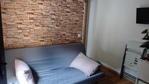Una habitación con pared de piedra, un sofá gris con dos almohadas, una mesita con una planta y un televisor montado en la pared.