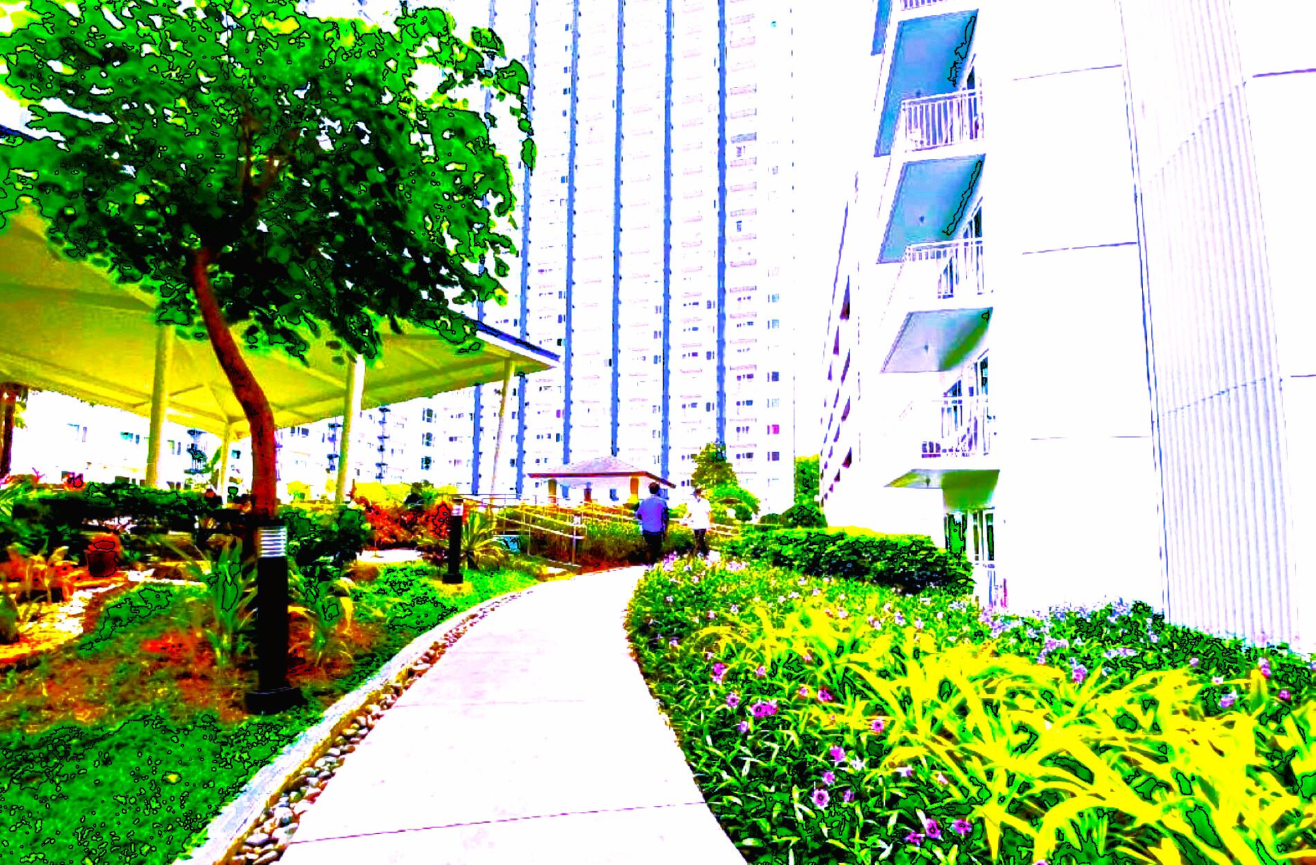 Un chemin bordé de verdure et un bâtiment doté de balcons.