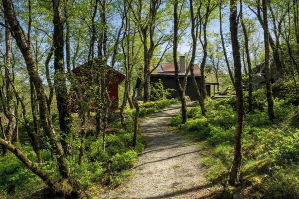 Cabin, 3 Bedrooms, Balcony, Garden View | Property grounds