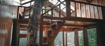 WOW Treehouse & Cottages