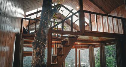 WOW Treehouse & Cottages