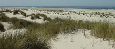 Hus | Strand