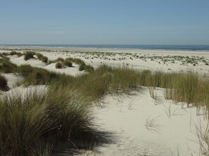 House | Beach