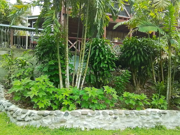 Shared Dormitory, 1 Bedroom, Smoking, Balcony | Garden - Room-outback Retreathotel, Ba Fiji (Ba)