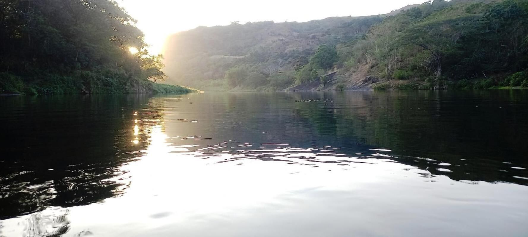 A calm river with dense greenery on both sides.