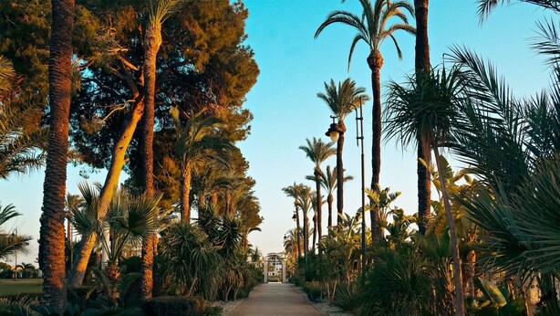 A pathway lined with palm trees and other tropical plants, leading to a building with a covered entrance. - Stunning 2-baths apartment with golf and lake view (Sucina)