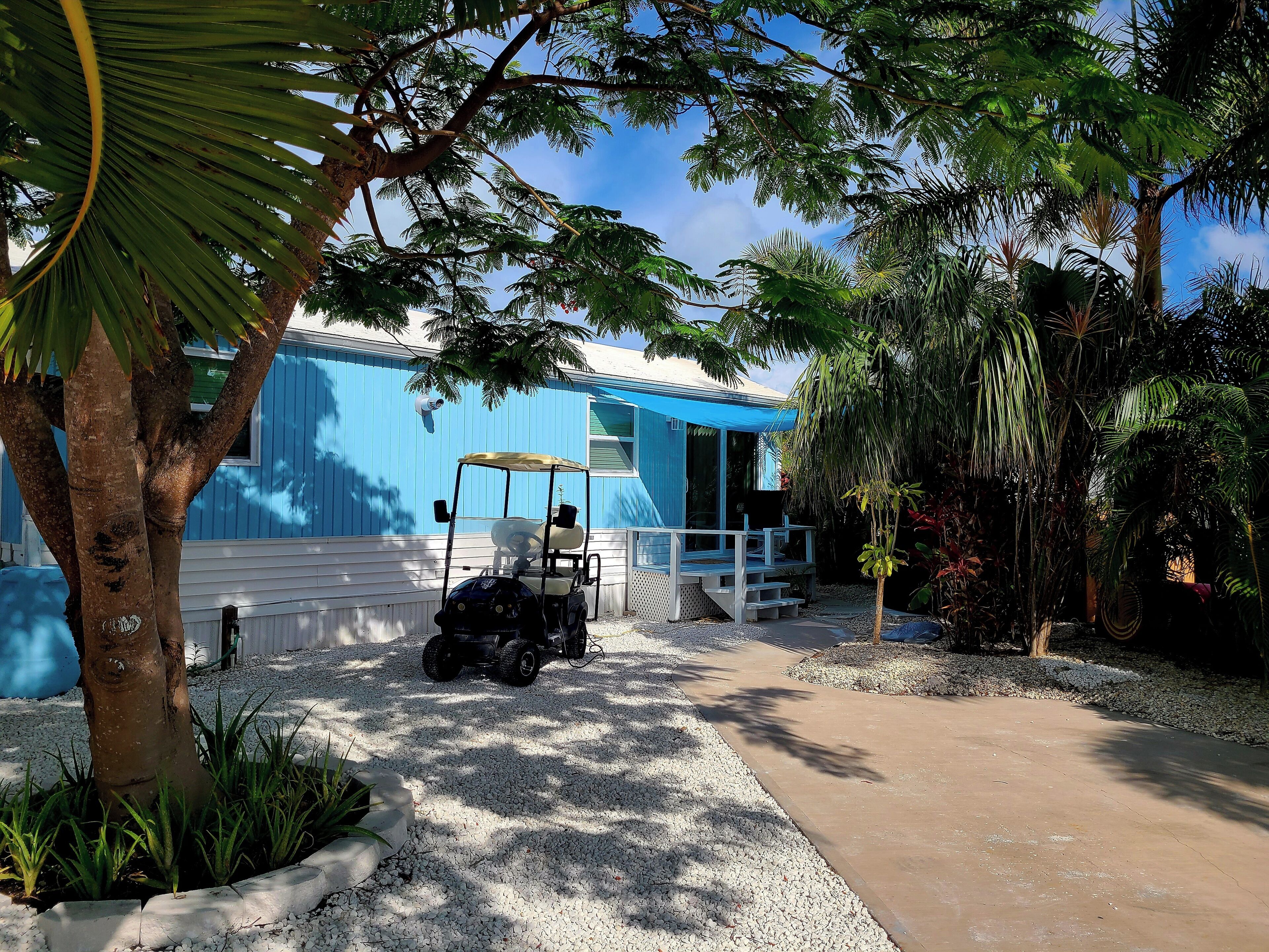 Front yard with lots of shade under the poinciana tree.  entrance 