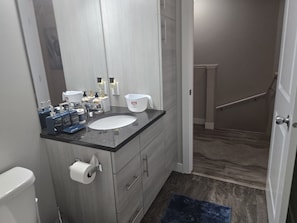 Hair dryer, towels, soap, toilet paper