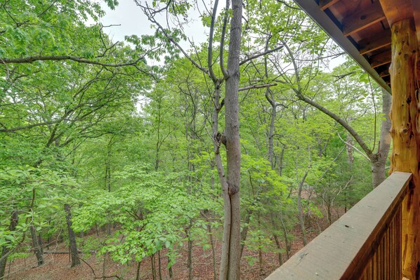 Interior - 4 Mi to Marina: Cozy Log Cabin in Eureka Springs! (Eureka Springs)