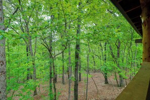 Interior - 4 Mi to Lake: Wooded Log Cabin in Eureka Springs! (Eureka Springs)