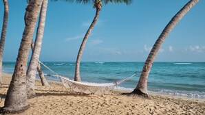 A hammock between palm trees on a sandy beach with the ocean in the background. - The Excellence Club at Finest Punta Cana Adults Only - All Inclusive (Punta Cana)