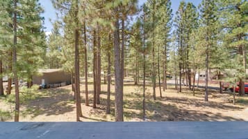 Apartment (0 Bedroom) | Interior