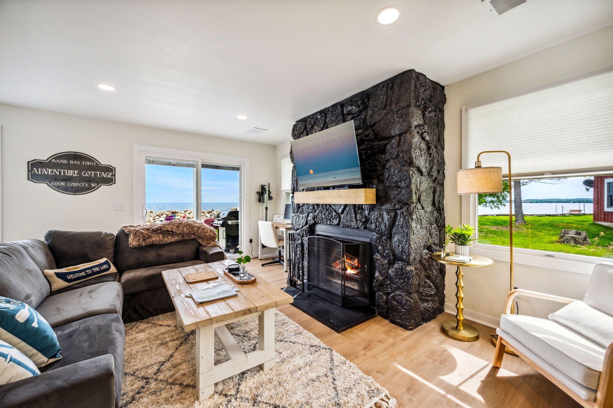 Smart TV, chimenea, reproductor de DVD y libros 