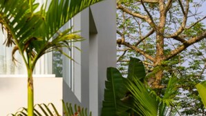 Un edificio moderno con grandes ventanales, rodeado de abundante vegetación y un árbol.