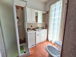 Shower, hair dryer, bidet, towels