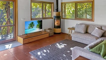 Televisión, chimenea y libros