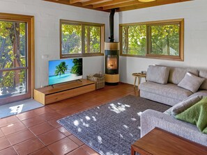Télévision, cheminée, livres