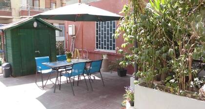 Mikasa Piazza Bologna