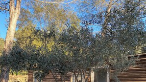 Eine rustikale Holzhütte mit einer Steinwand, einer Holzterrasse und einem Baum davor.