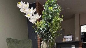Apartment, 2 Bedrooms, Balcony | Interior - Cosy two Bedroom Apartment for Short and Long Stays Rental (Johannesburg)