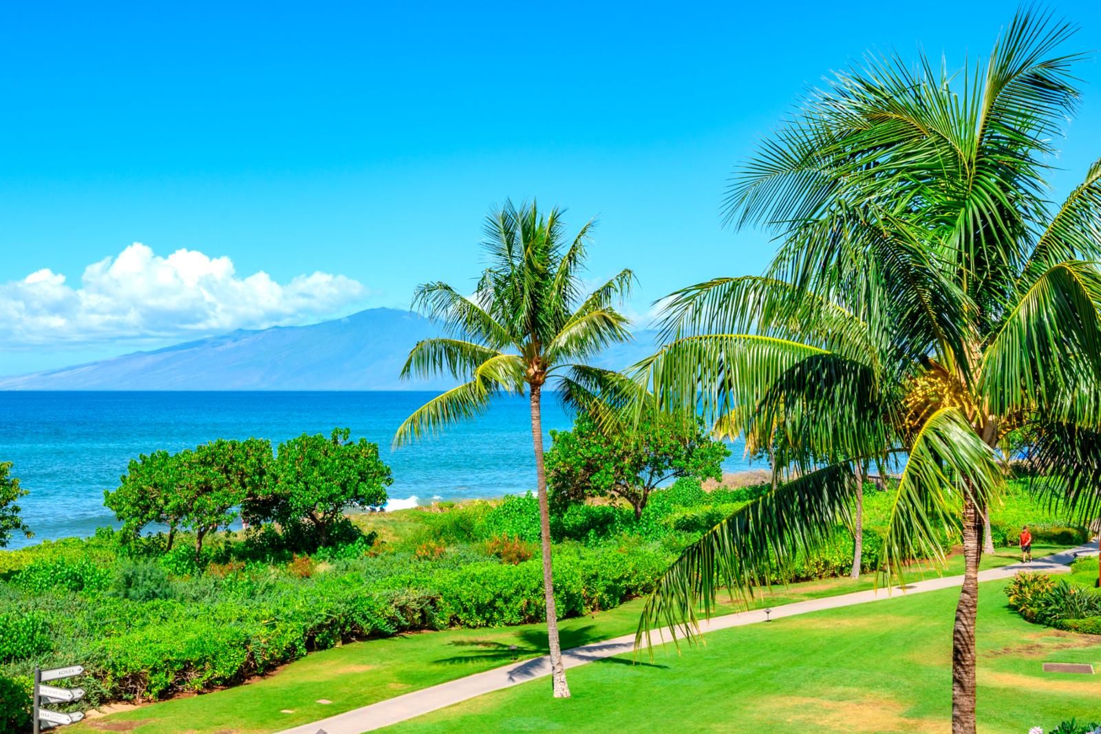 Un paysage tropical offrant une vue dégagée sur l’océan et une montagne à l’horizon.