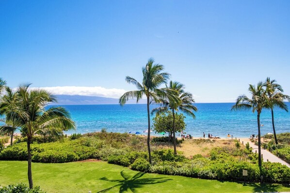 Une vue sur une plage tropicale, avec des palmiers et un ciel bleu dégagé.