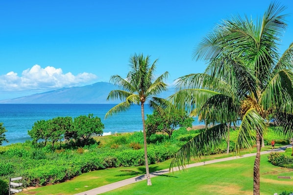 Un paysage tropical offrant une vue dégagée sur l’océan, avec des palmiers et une montagne qui se profile à l’horizon.