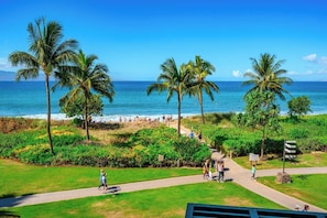 A coastal view with palm trees, a beach, and a grassy area with a path.
