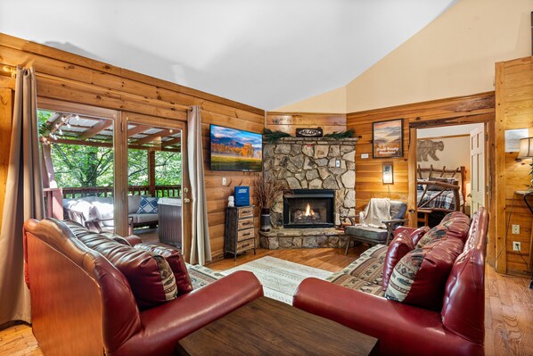 Smart TV, fireplace, video games, DVD player