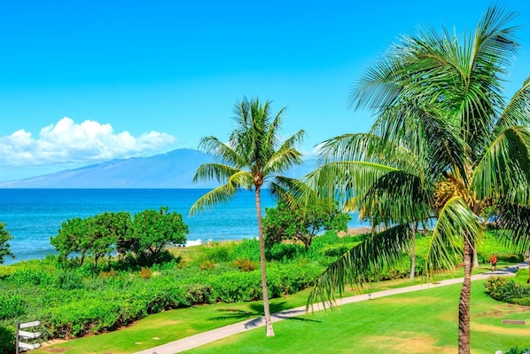 Unclassified image, 1 of 144, button