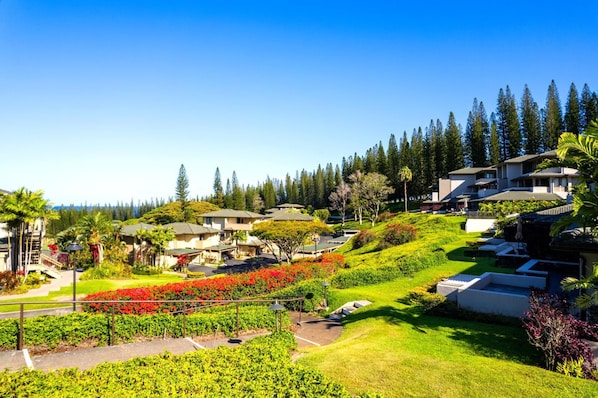 A hillside residential area with houses, a parking lot, and a clear sky.