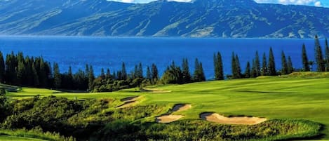 Golf