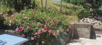 Pleasant, quiet apartment with terrace in the hills above La Bourboule.