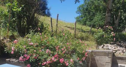 Pleasant, quiet apartment with terrace in the hills above La Bourboule.