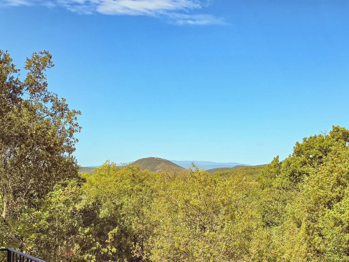 Un paysage caractérisé par une végétation luxuriante et une colline qui se dessine à l’horizon.