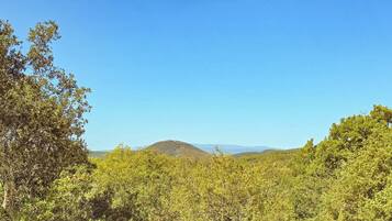 Un paysage caractérisé par une végétation luxuriante et une colline qui se dessine à l’horizon.