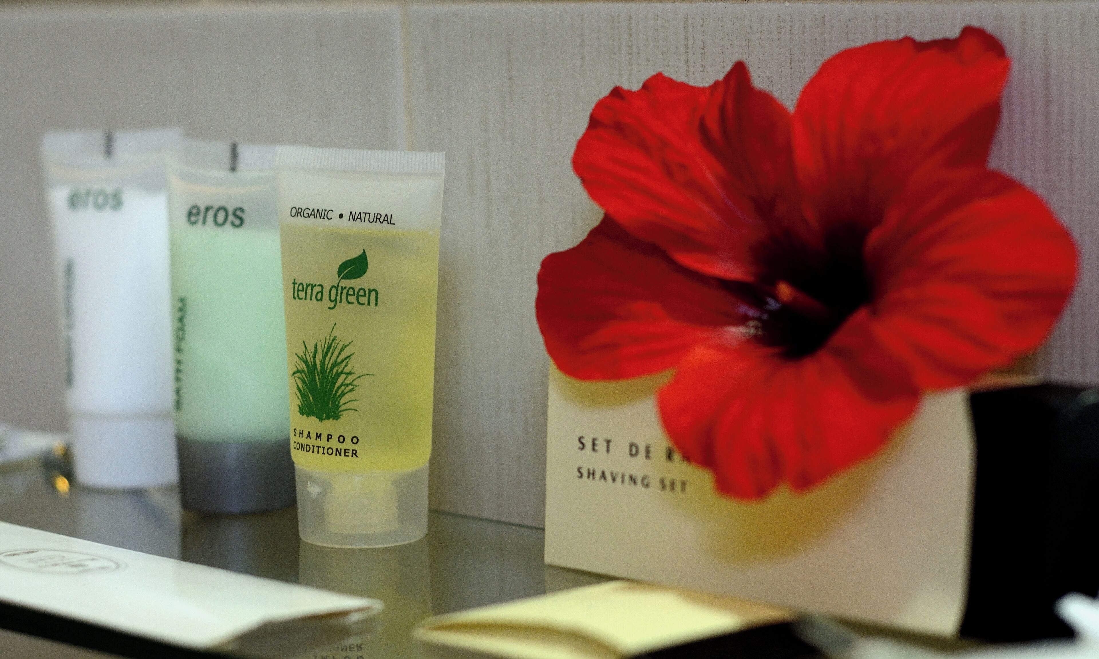 Una encimera de baño con artículos de aseo, incluyendo un champú, acondicionador en tubo con la etiqueta 'terra green', un kit de afeitado y una decoración floral roja.