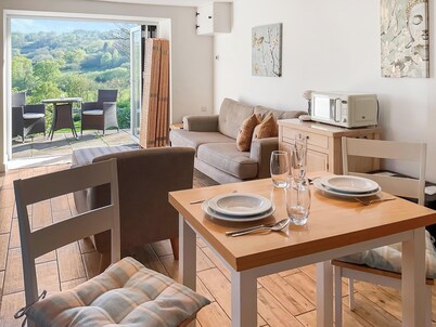1 bedroom accommodation in Chard