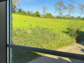 Interior - 1 bedroom accommodation in Chard (Chard)