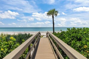 A wooden boardwalk leading to a beach with a palm tree and lush greenery.