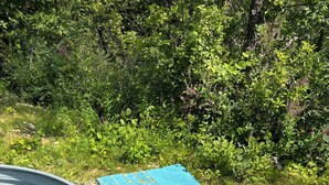 Un récipient en métal et un tissu bleu à motifs, posés sur une zone herbeuse.