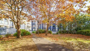 A pathway flanked by trees with autumn leaves, leading to a modern building with balconies.
