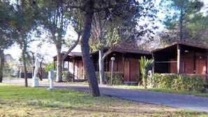 Ảnh chưa phân loại, 4 trong số 21 ảnh, nút