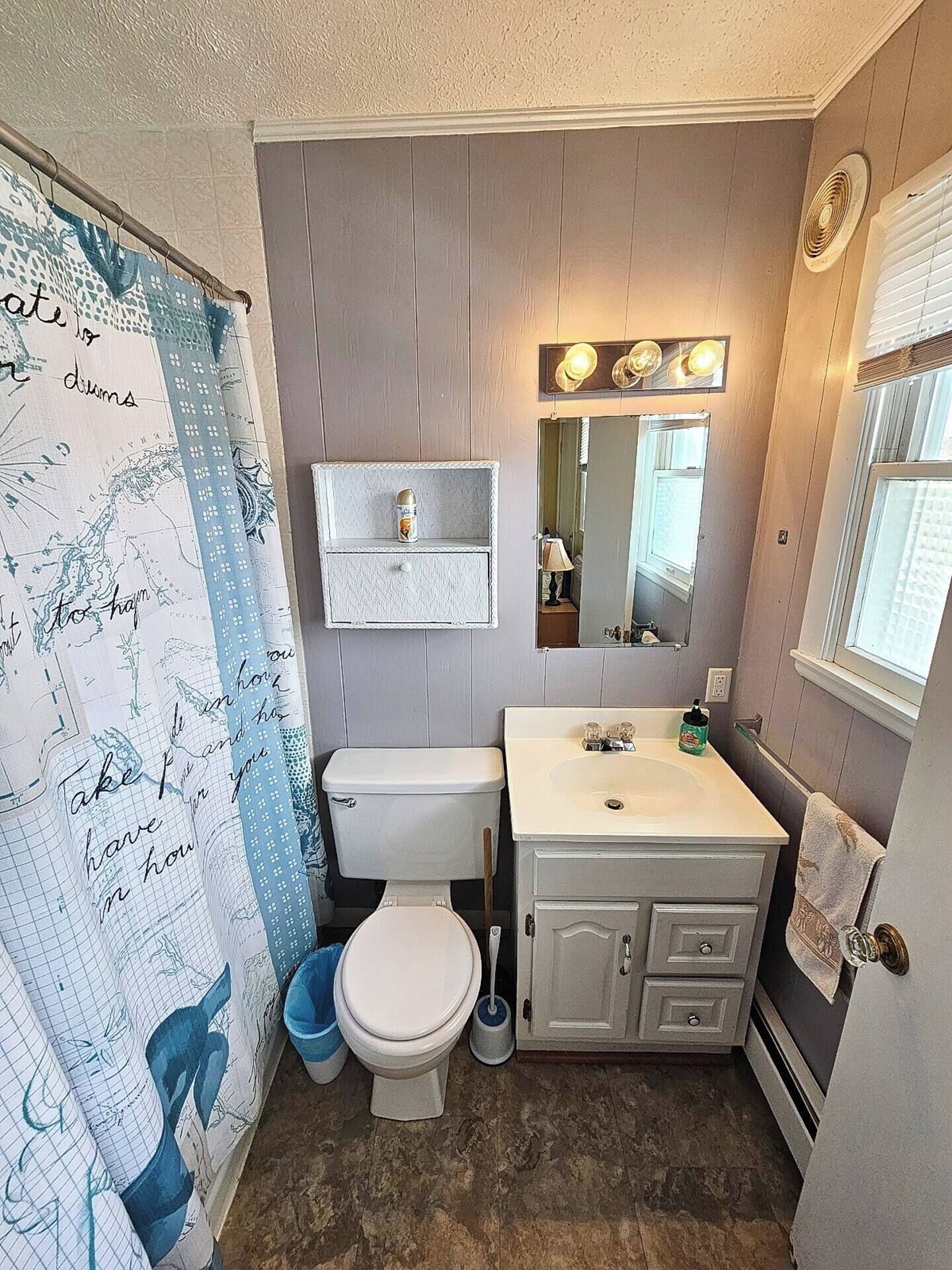 A bathroom with a toilet, sink, mirror, and a shower curtain with a map design.