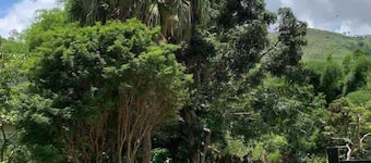 quinta de areal