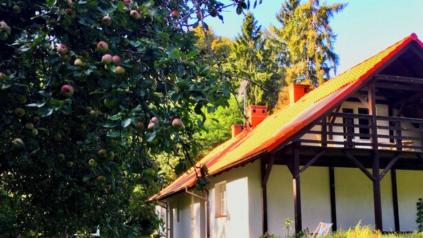 A traditional house with a sloped roof, surrounded by a well-maintained garden and a large apple tree.