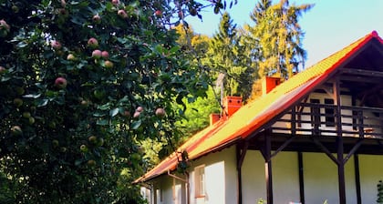 1of3 apartments, summer house near the Szczytno Wlk lake, forest, Rzeczenica