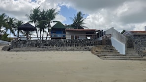 Steps lead to a beachfront building with a lush rooftop.