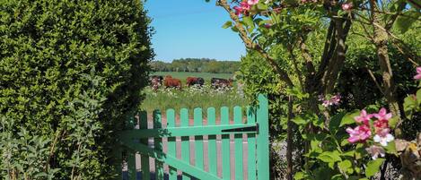 A green gate leading to a field with cows grazing.