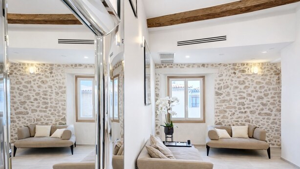 A spacious room with a stone wall, two sofas, a potted plant, and a window. - Luxury duplex in the heart of Old Antibes (Antibes)